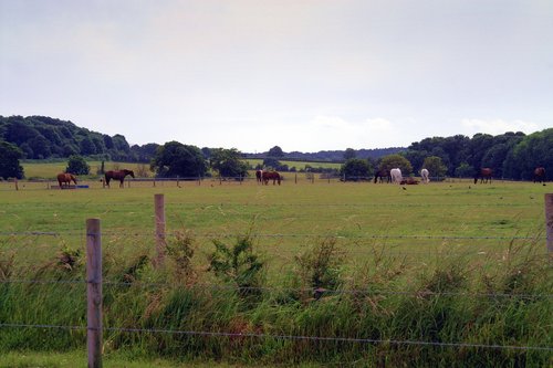 Countryside.