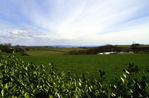 Looking out from Heligan towards Mevagissey.