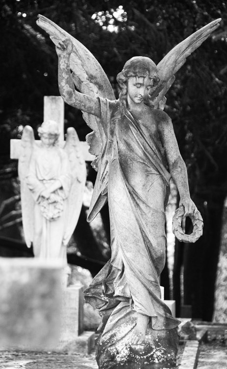 Aldershot Military Cemetery - forever friends