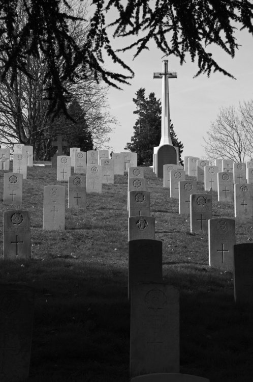 Aldershot Military Cemetery - view up hill of graves