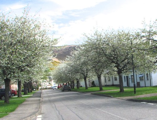 Market Street Ullapool in the spring