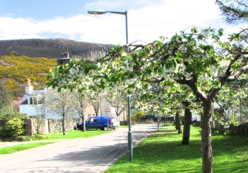 Custom House Street in the spring