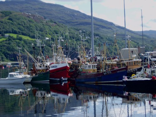 Fishing boats