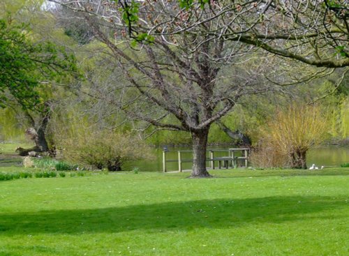 College grounds, Cottingham