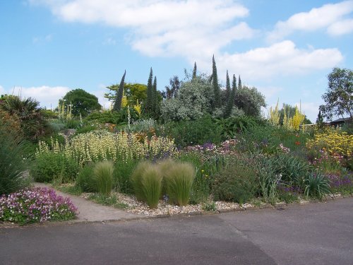 The Dry Garden at Hyde Hall