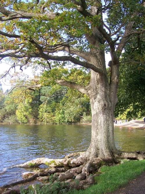 A view over Derwent water, Keswick