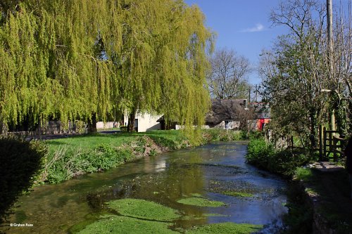 The River Cerne in Dorset