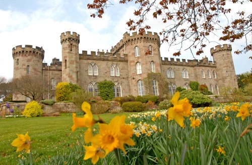 Daffodils and Castle Front