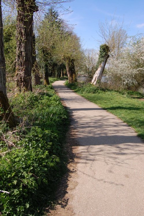 Jubilee Lake, Wootton Bassett