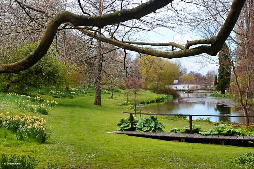 Springhead Gardens, Fontmell Magna