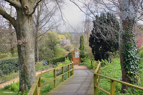 Springhead Gardens, Fontmell Magna