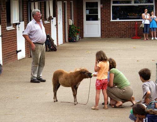 Now thats a small Pony.