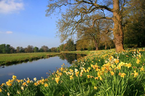 River Trent, Shugborough Estate