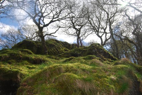 A View of Llanberis