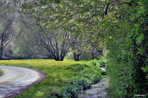 The Sydling Valley, Dorset