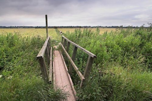 Cottingham Bridle path