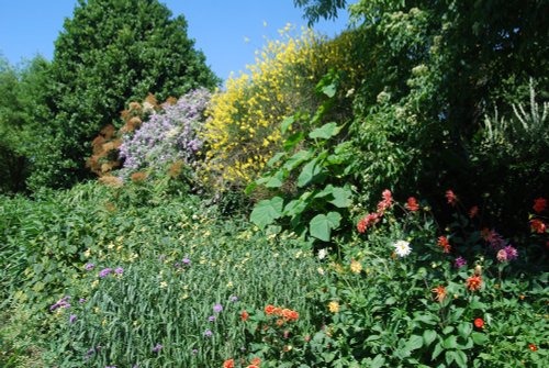 In the Botanic Gardens