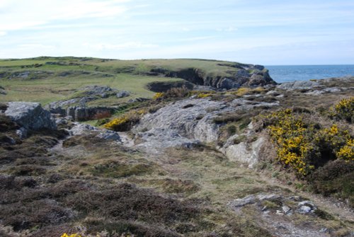 A View of Holy Island