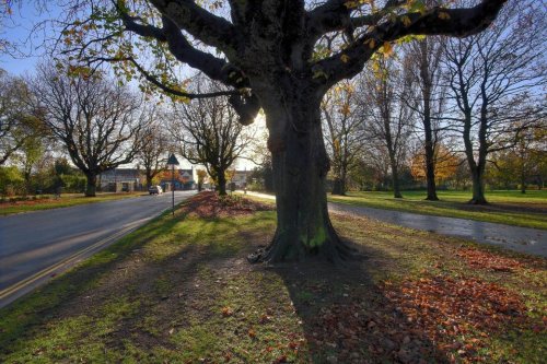 East Park during Autumn