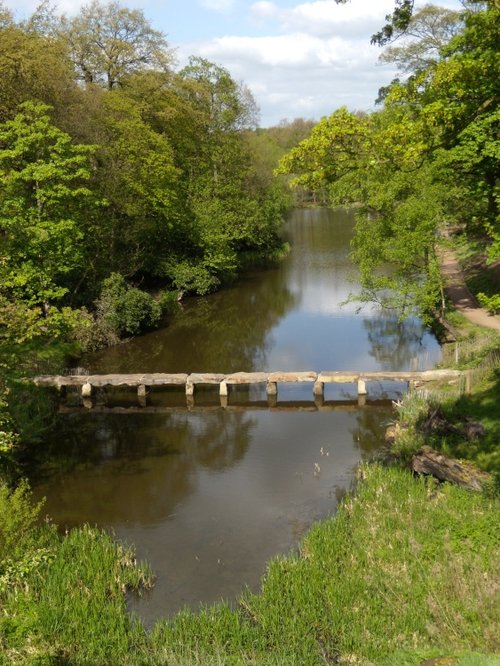 Druids bridge