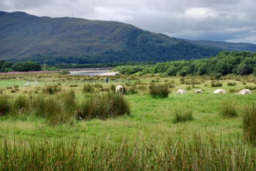 The Scottish Highlands