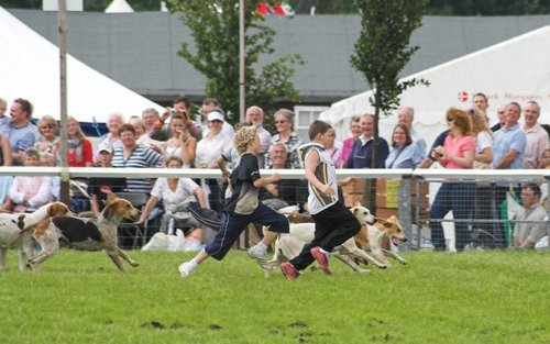 Driffield Show0013