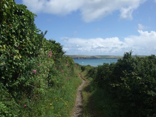 Coastal Path near Padstow