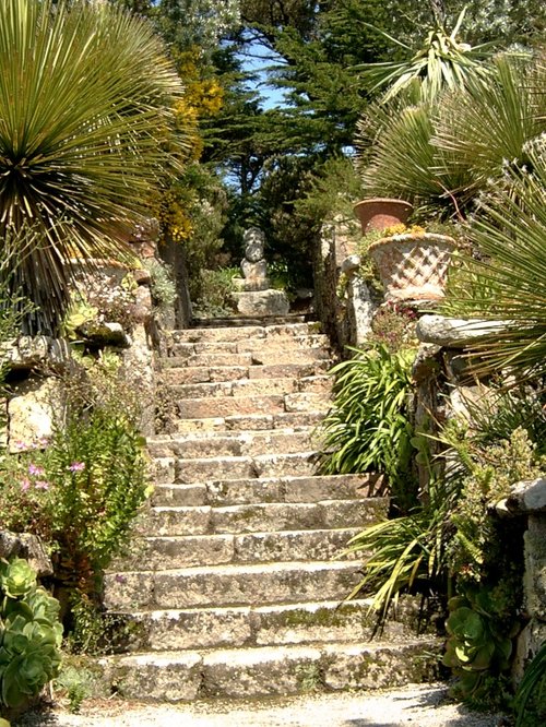 Tresco Abbey Gardens