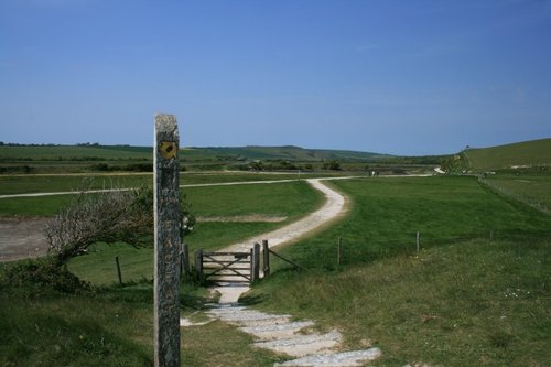 The estuary