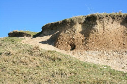 Sandy soil