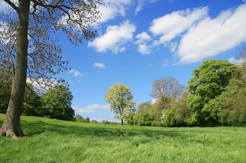 Yoxall Lodge Grounds