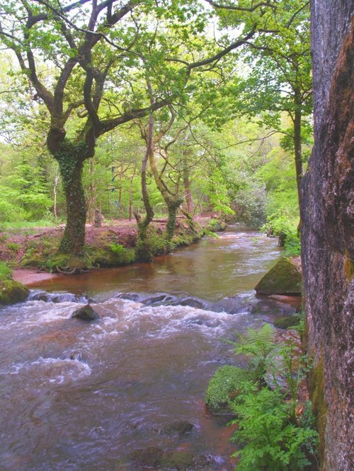 Luxulyan Valley