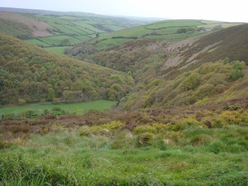 Exmoor National Park