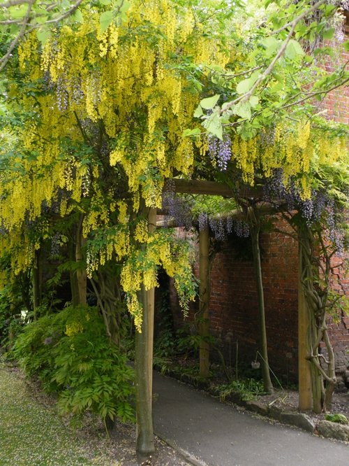 Eastcote house gardens, Eastcote Village