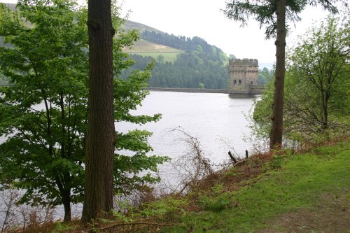 Derwent Reservoir through the trees April 2008