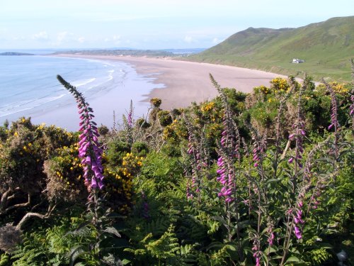 Rhossili Bay