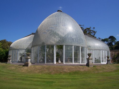 The Palm House