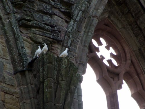 Tintern Abbey