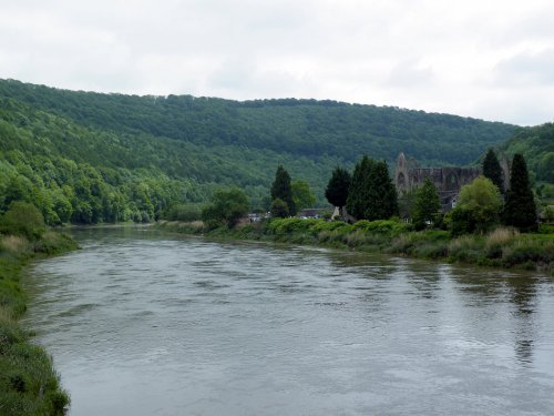 Tintern Abbey