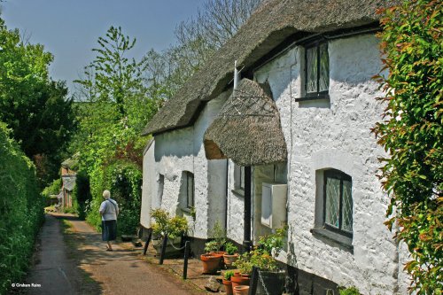 The Edge of Exmoor