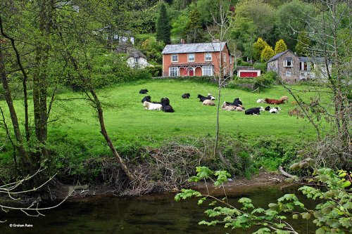 The Edge of Exmoor