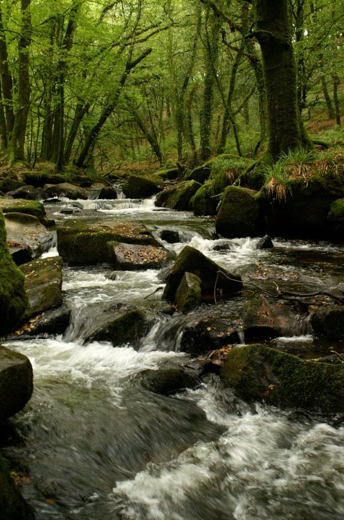 The river falling over the rocks.