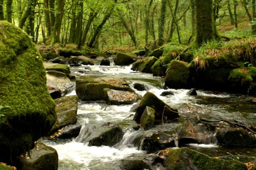 Looks like more rocks than river.