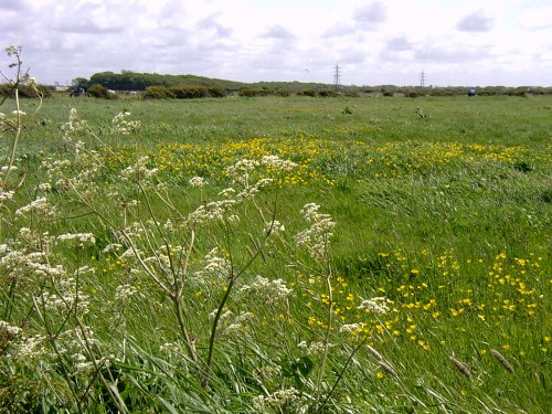 Cleveleys meadowland