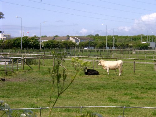 Cleveleys