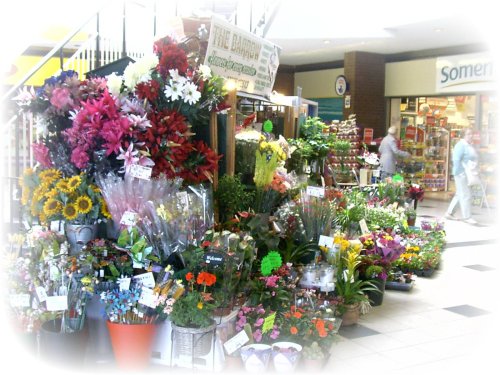 Flower shops