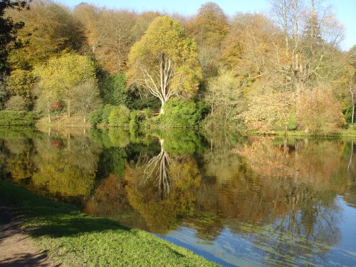 Stourhead in November