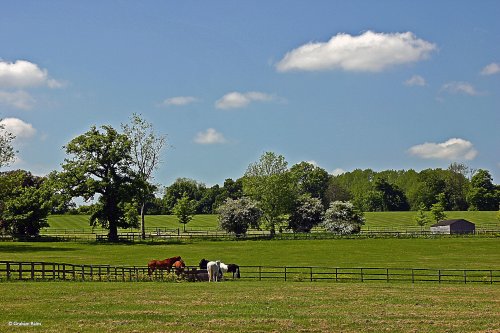 Hardy's Dorset