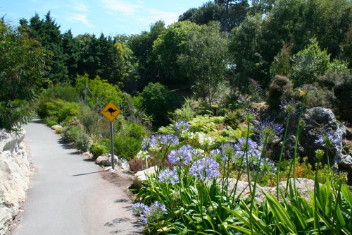 In the Botanic Gardens