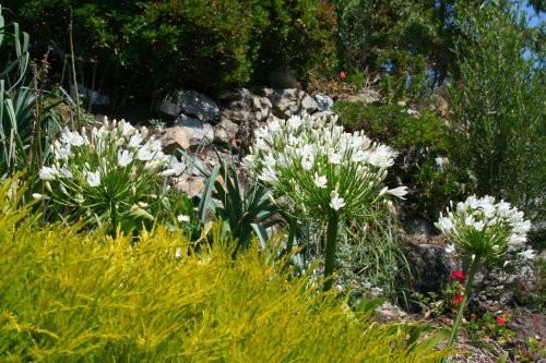 In the Botanic Gardens